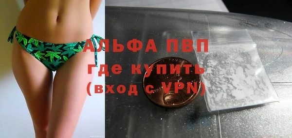 apvp Алзамай