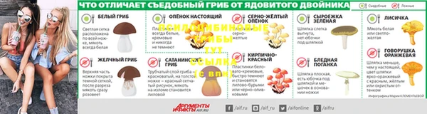 PSILOCYBIN Семилуки