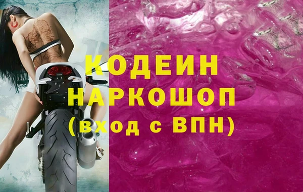 apvp Алзамай