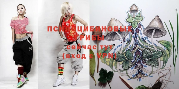 кокс Алексеевка